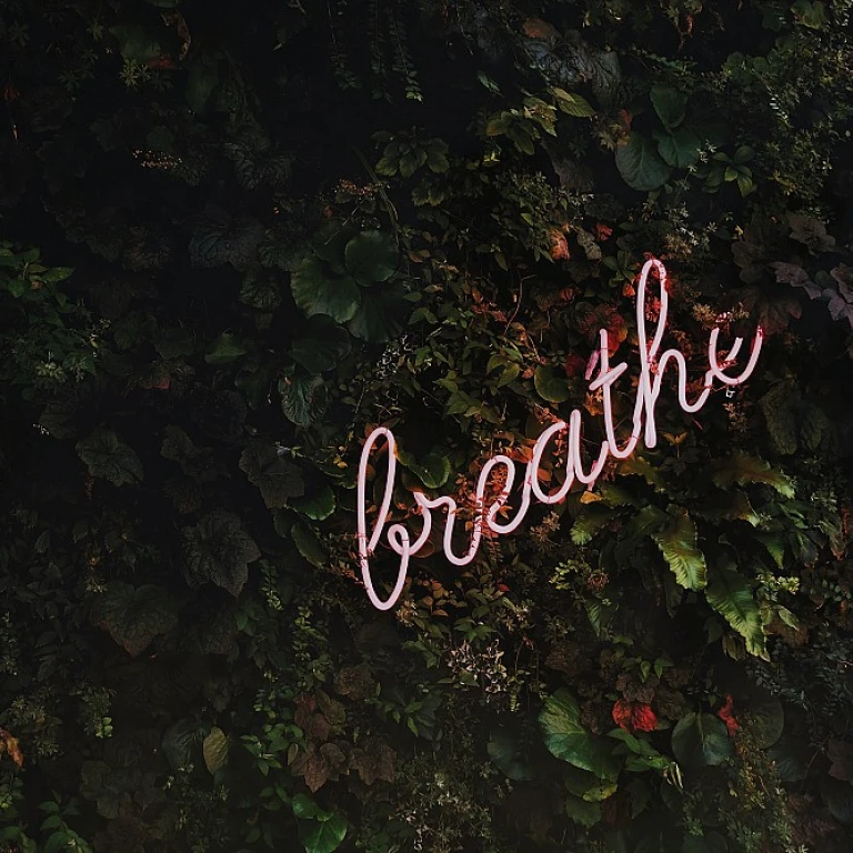 The Influence of Colors on Mental Health and Work-Life Balance